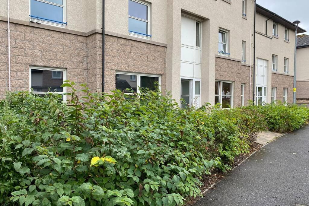 Peter Pan Apartment In The Heart Of Inverness Dalneigh Exterior foto